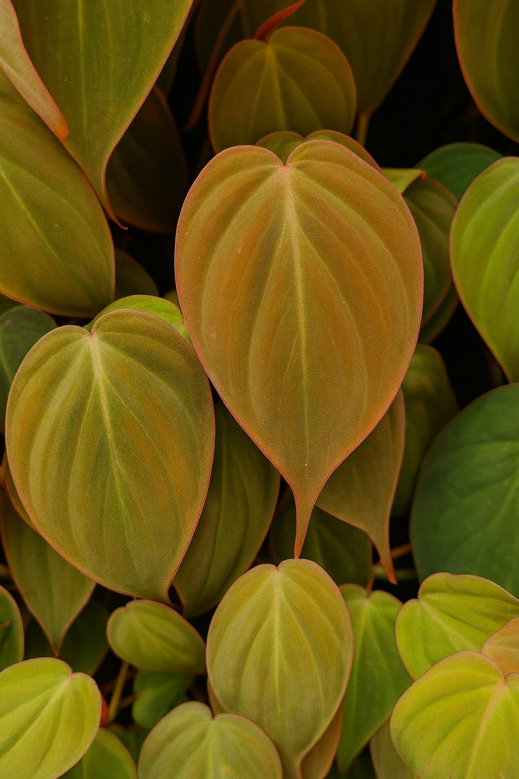 May Flowers Horticulture Installation 24